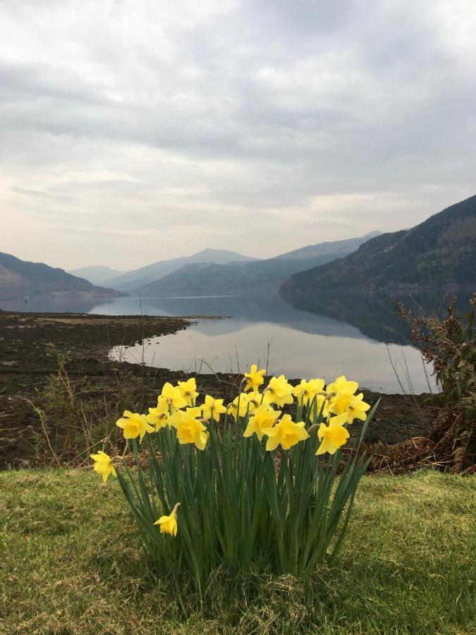 Rowan House B&B Rooms & A Self Catering Apartment Lochgoilhead Exterior photo